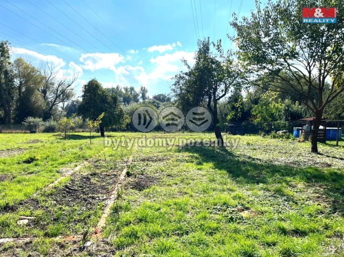 Prodej, Zahrada, Vršovice