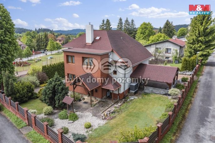 Prodej, Rodinný dům, Borová