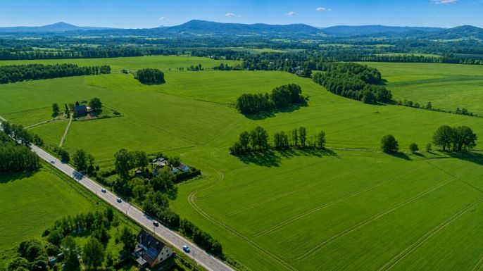 Prodej, Pole, Česká Lípa