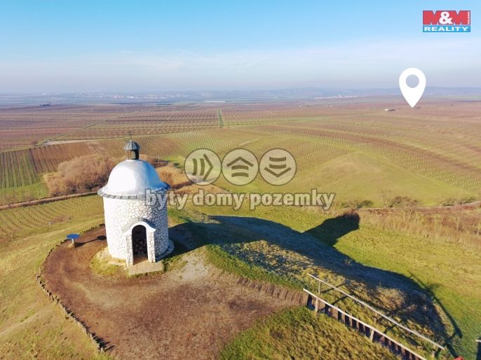 Prodej, Vinice, Velké Bílovice