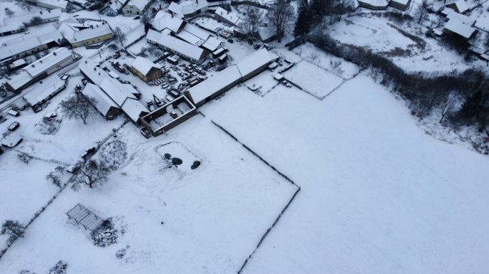 Prodej, Louka, Březí