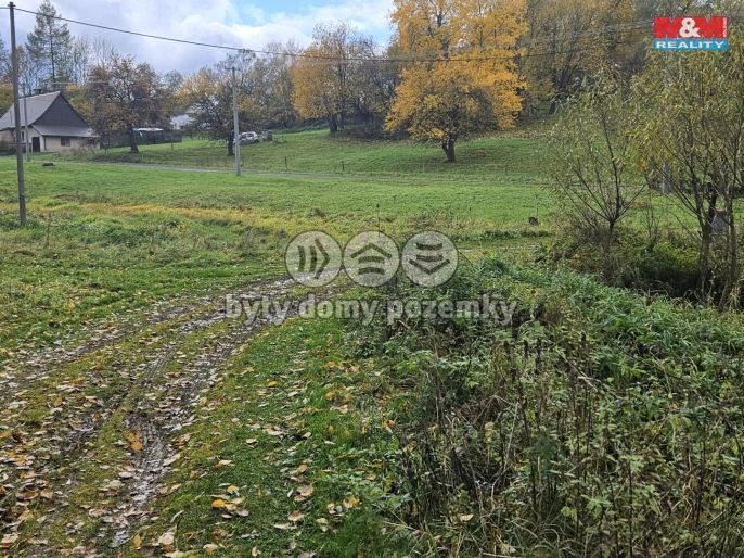 Prodej, Louka, Hanušovice