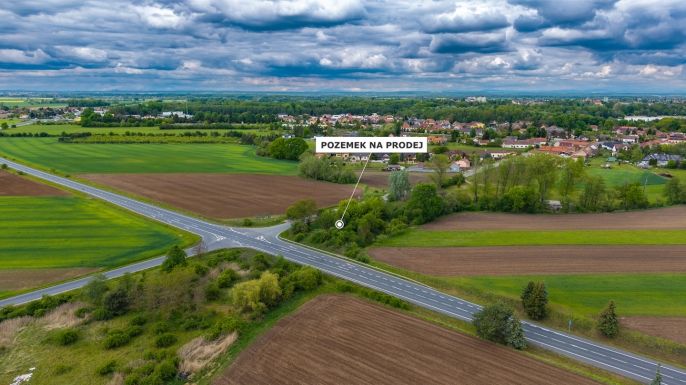 Prodej, Komerční pozemky, Poděbrady