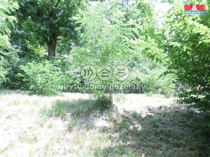 Prodej, Zahrada, Hrdlořezy