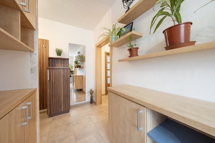 Pronájem, Byt 2+1, Prostějov