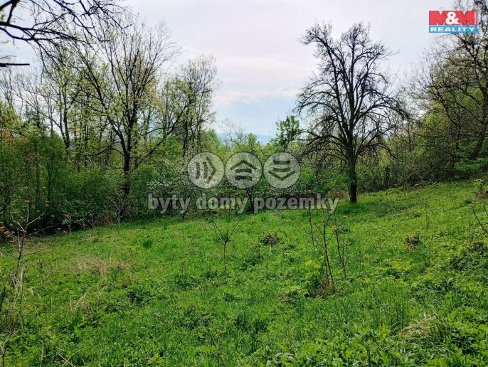 Prodej, Pozemek k bydlení, Jeseník nad Odrou