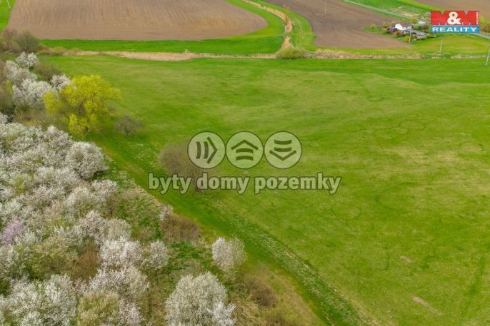 Prodej, Pole, Staré Město