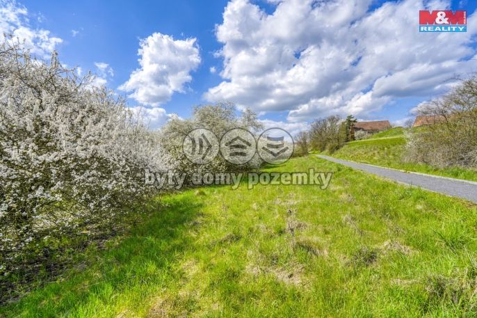 Prodej, Zahrada, Čistá