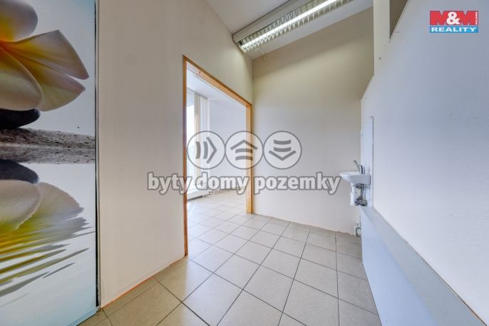 Prodej, Obchod a služby, Písek