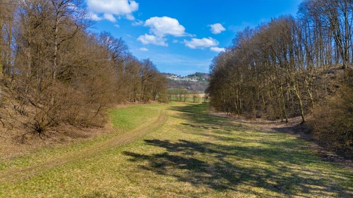 Prodej, Louka, Tachov