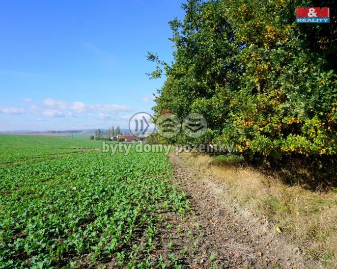 Prodej, Pozemek k bydlení, Třebeň