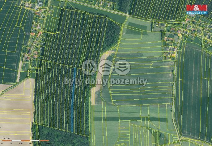 Prodej, Les, Dražíč