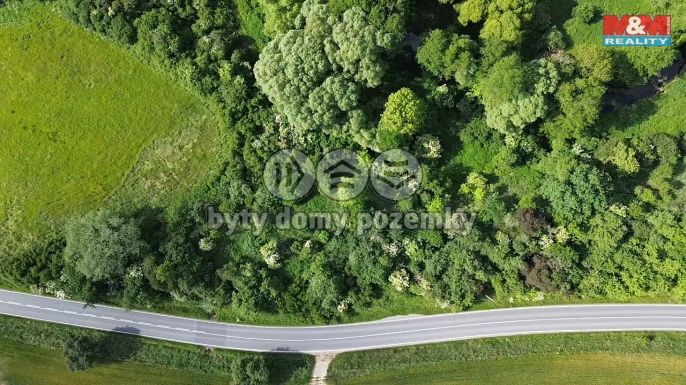 Prodej, Ostatní, Spálené Poříčí