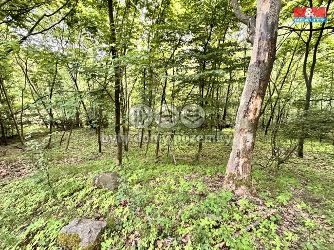 Prodej, Zahrada, Horní Jiřetín