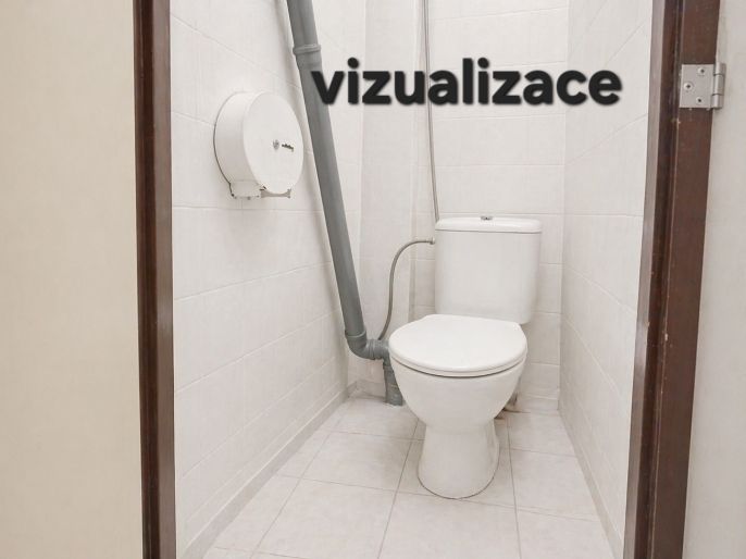 Pronájem, Obchod a služby, Plzeň