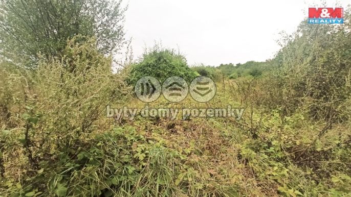 Prodej, Ostatní, Ivančice