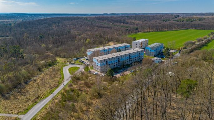 Prodej, Byt 2+1, Milovice