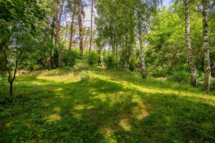 Prodej, Ostatní, Přešťovice