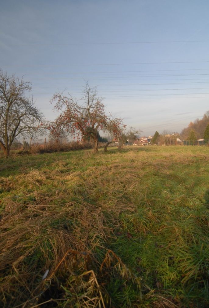 Prodej, Pozemek k bydlení, Ostrava