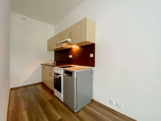 Pronájem, Byt 1+kk, Lovosice