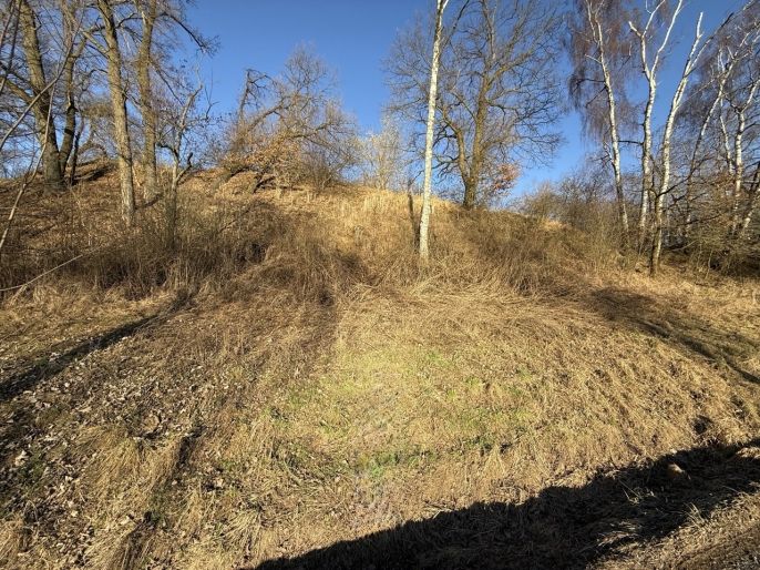 Prodej, Louka, Bošín