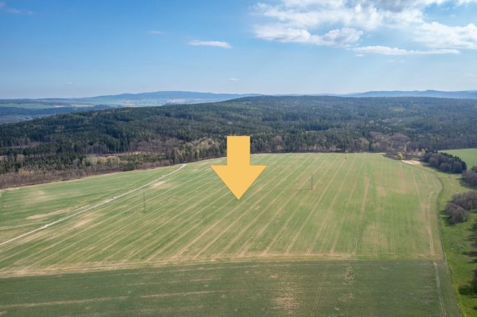 Prodej, Pole, Tymákov