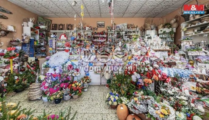 Prodej, Obchod a služby, Chomutov