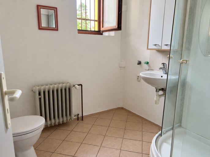 Pronájem, Obchod a služby, Černošice