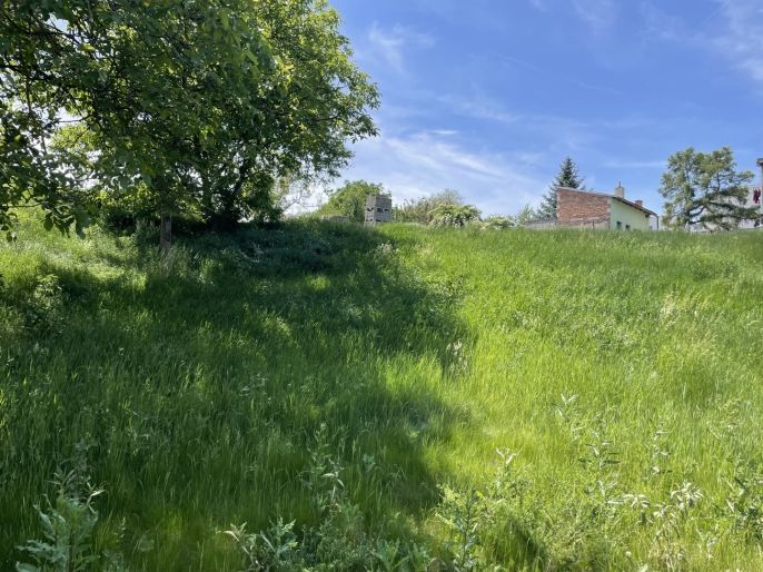 Prodej, Pozemek k bydlení, Holubice