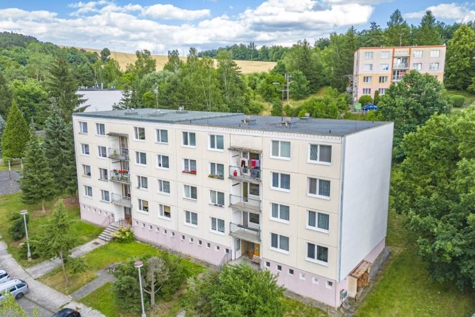 Pronájem, Byt 1+1, Plasy