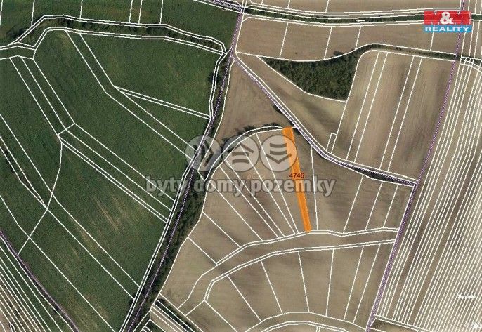 Prodej, Pole, Starovičky