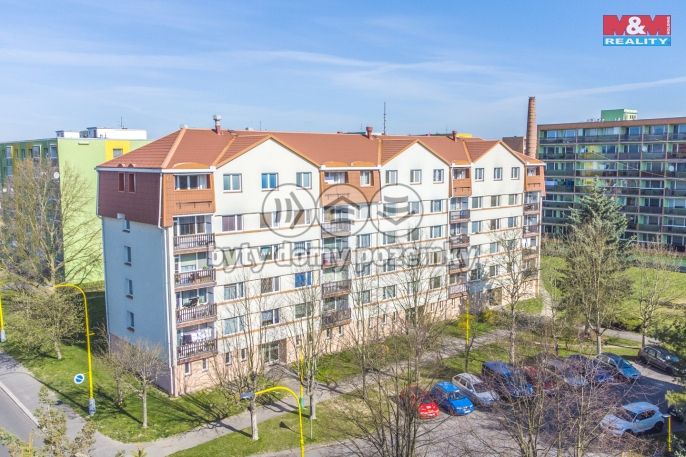 Pronájem, Byt 1+1, Stráž pod Ralskem