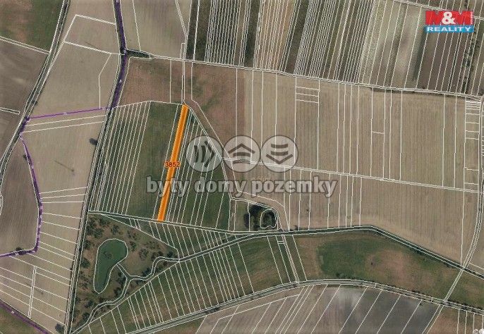 Prodej, Pole, Starovičky