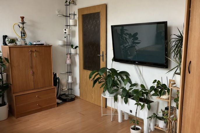 Prodej, Byt 1+1, 37 m², Olomouc, Sladkovského
