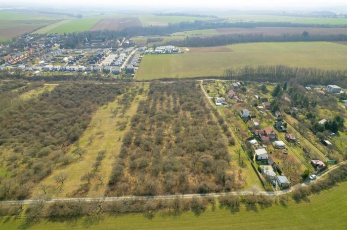 Prodej, Ovocný sad, Želešice