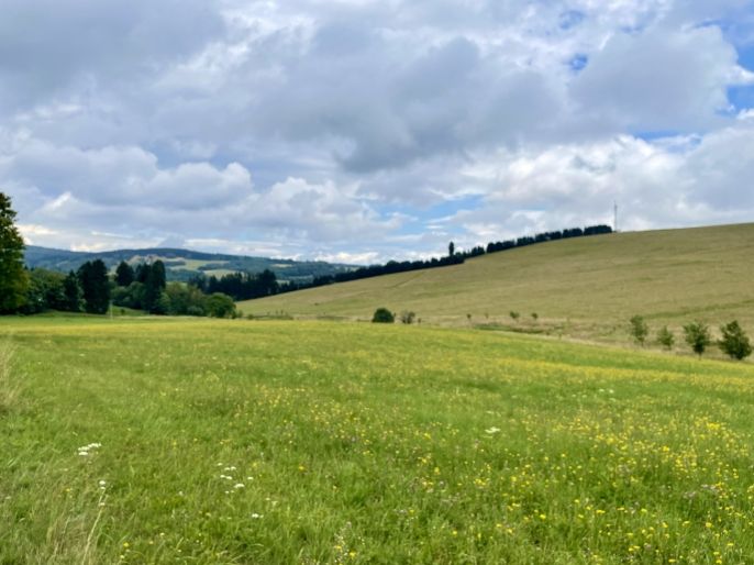 Prodej, Louka, Bartošovice v Orlických horách