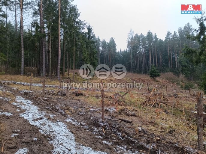 Prodej, Les, Vacovice