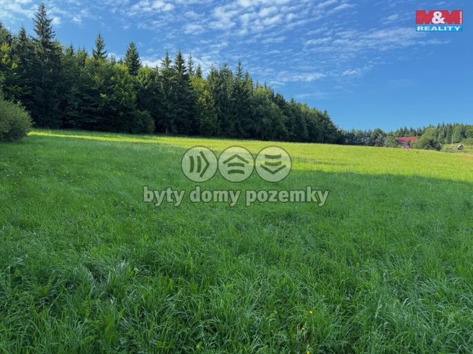 Prodej, Louka, Kořenov