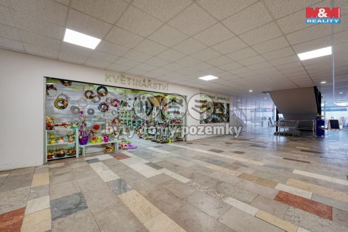 Pronájem, Obchod a služby, Třemošná