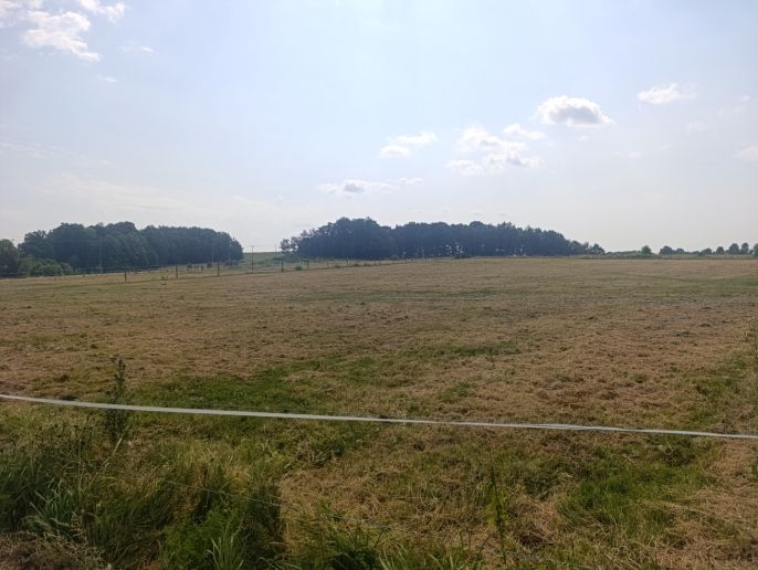 Pronájem, Obchod a služby, Hrádek nad Nisou