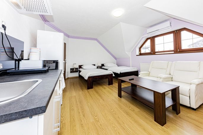 Pronájem, Byt 1+kk, Čáslav