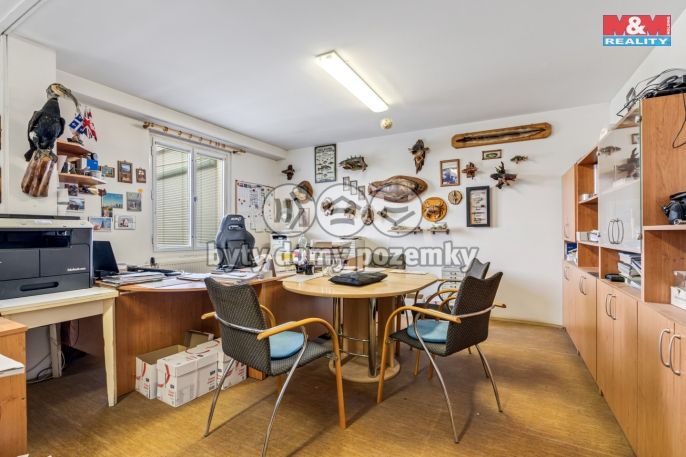 Prodej, Výrobní objekt, Štětí