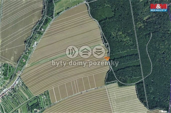 Prodej, Les, Zborovice