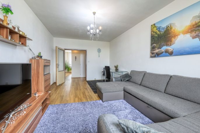 Prodej, Byt 4+1, Plzeň