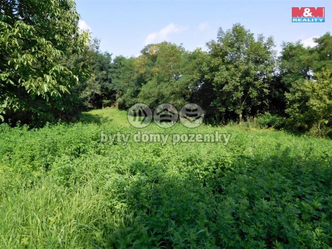 Prodej, Zemědělský objekt, Třebíz