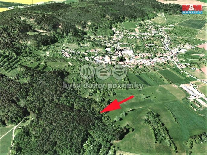 Prodej, Les, Borotín