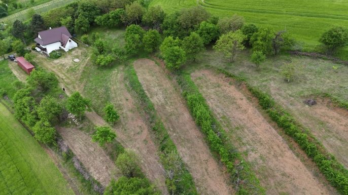 Prodej, Zemědělská usedlost, Dudince