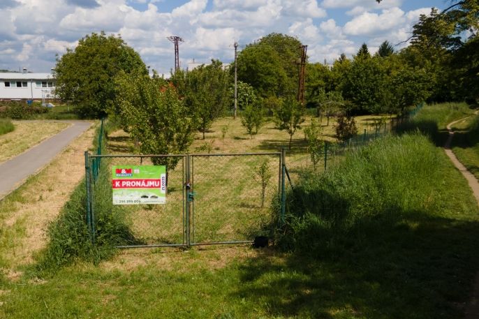 Pronájem, Zahrada, Zlín