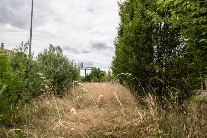 Pronájem, Zahrada, Pardubice