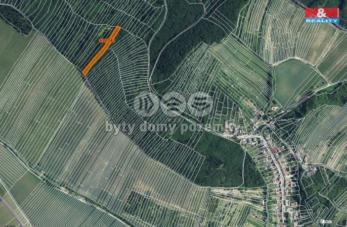 Prodej, Les, Horní Bojanovice